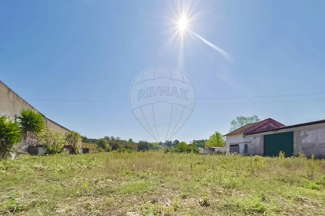 Quinta T2 para Venda em Rio Maior Foto 6