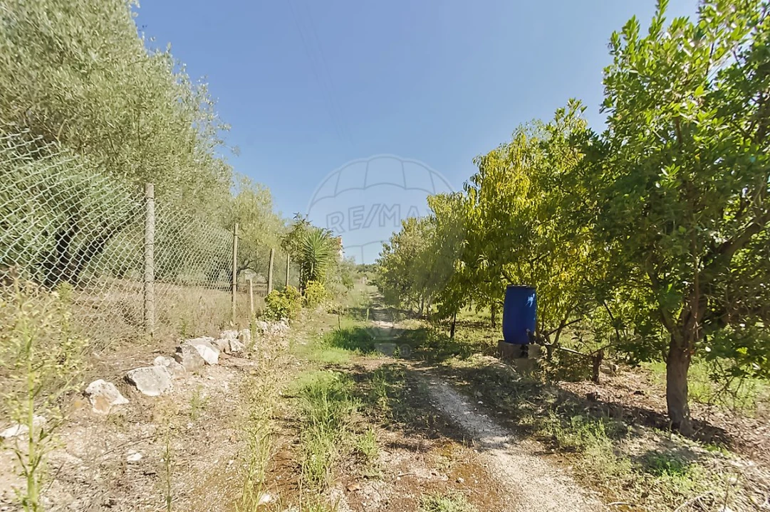 Quinta T2 para Venda em Rio Maior Foto 13