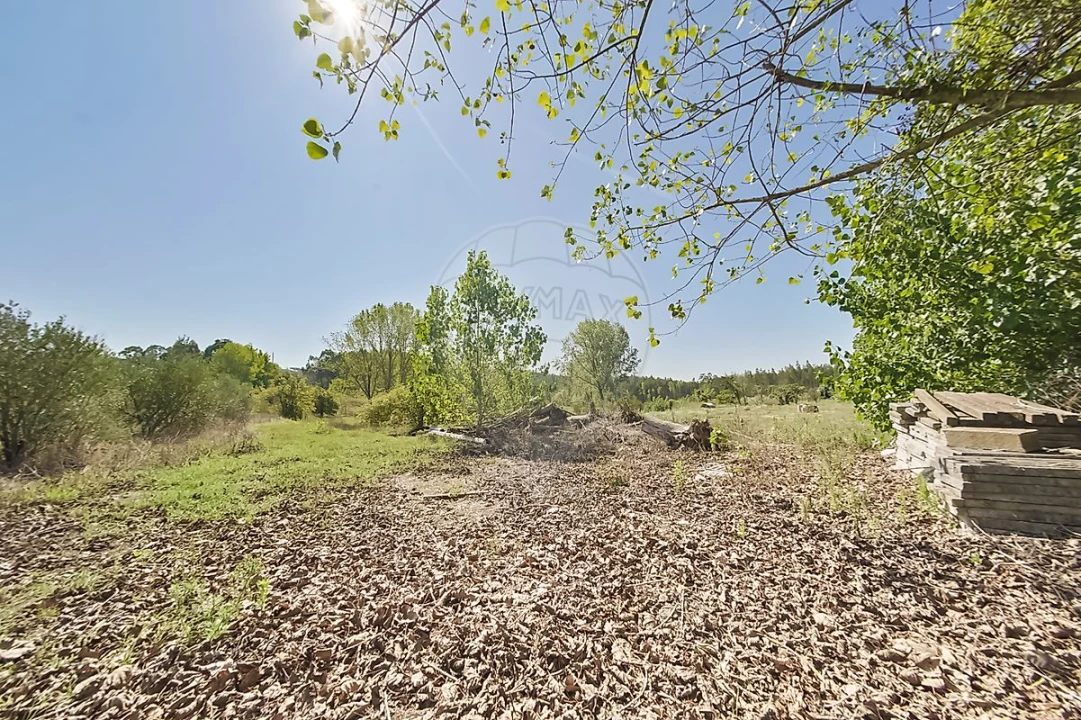 Quinta T2 para Venda em Rio Maior Foto 9