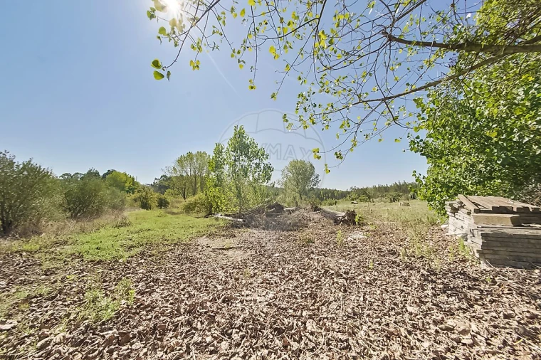 Quinta T2 para Venda em Rio Maior Foto 9