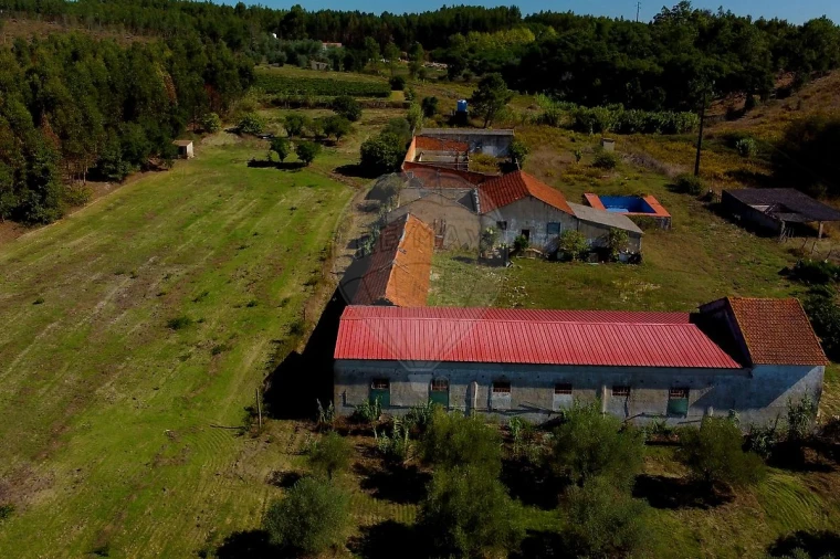 Quinta T2 para Venda em Rio Maior Foto 27