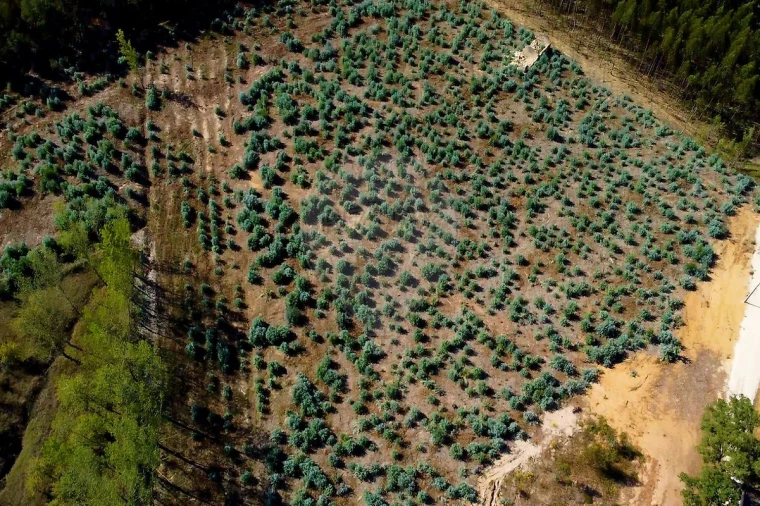Quinta T2 para Venda em Rio Maior Foto 24