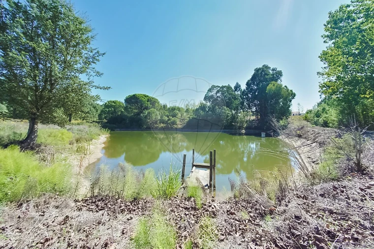 Quinta T2 para Venda em Rio Maior Foto 10