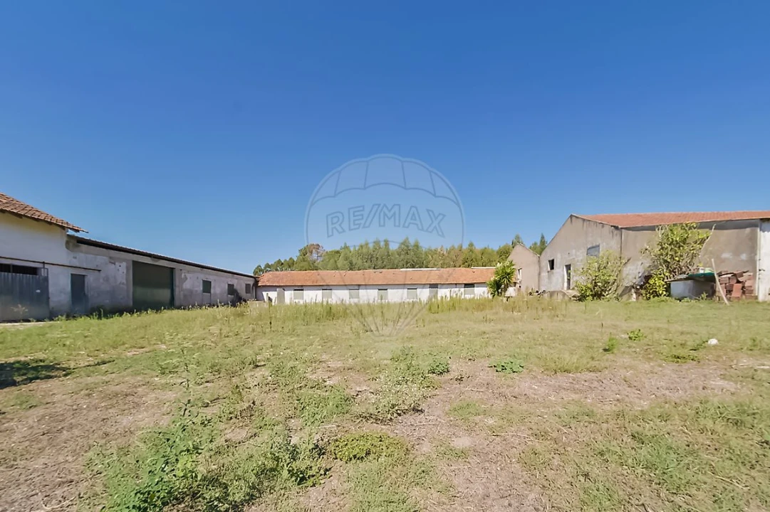 Quinta T2 para Venda em Rio Maior Foto 5