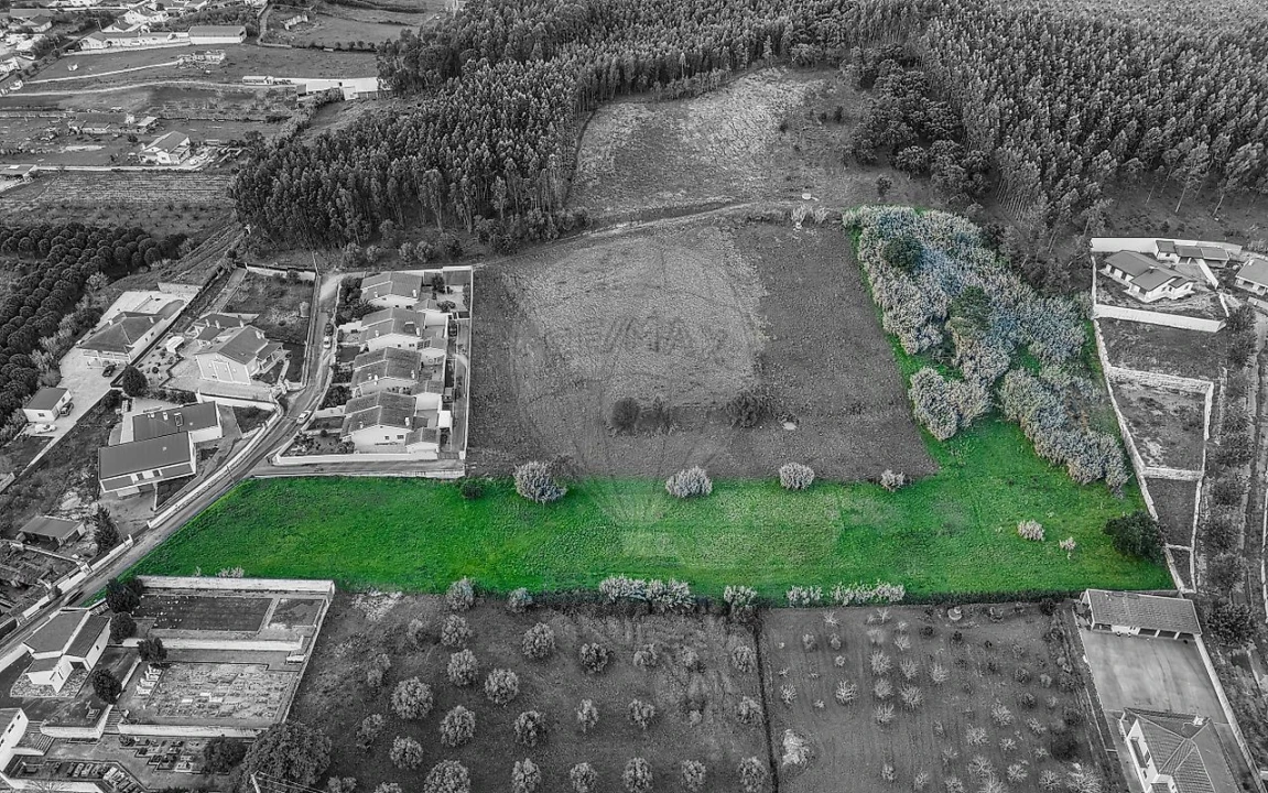 Terreno para Venda em Rio Maior Foto 13