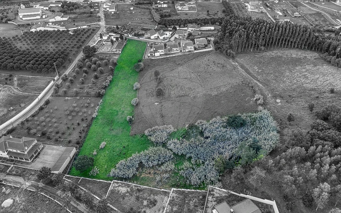 Terreno para Venda em Rio Maior Foto 2