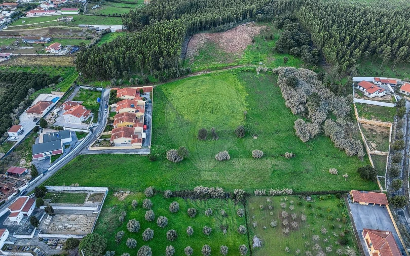 Terreno para Venda em Rio Maior Foto 14