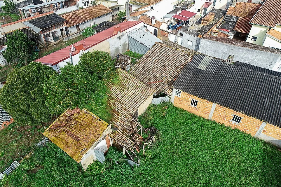 Terreno para Venda em São Martinho do Bispo e Ribeira de Frades Foto 5