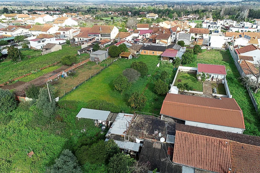 Terreno para Venda em São Martinho do Bispo e Ribeira de Frades Foto 6