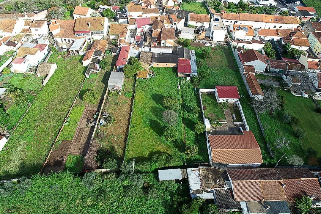 Terreno para Venda em São Martinho do Bispo e Ribeira de Frades Foto 12