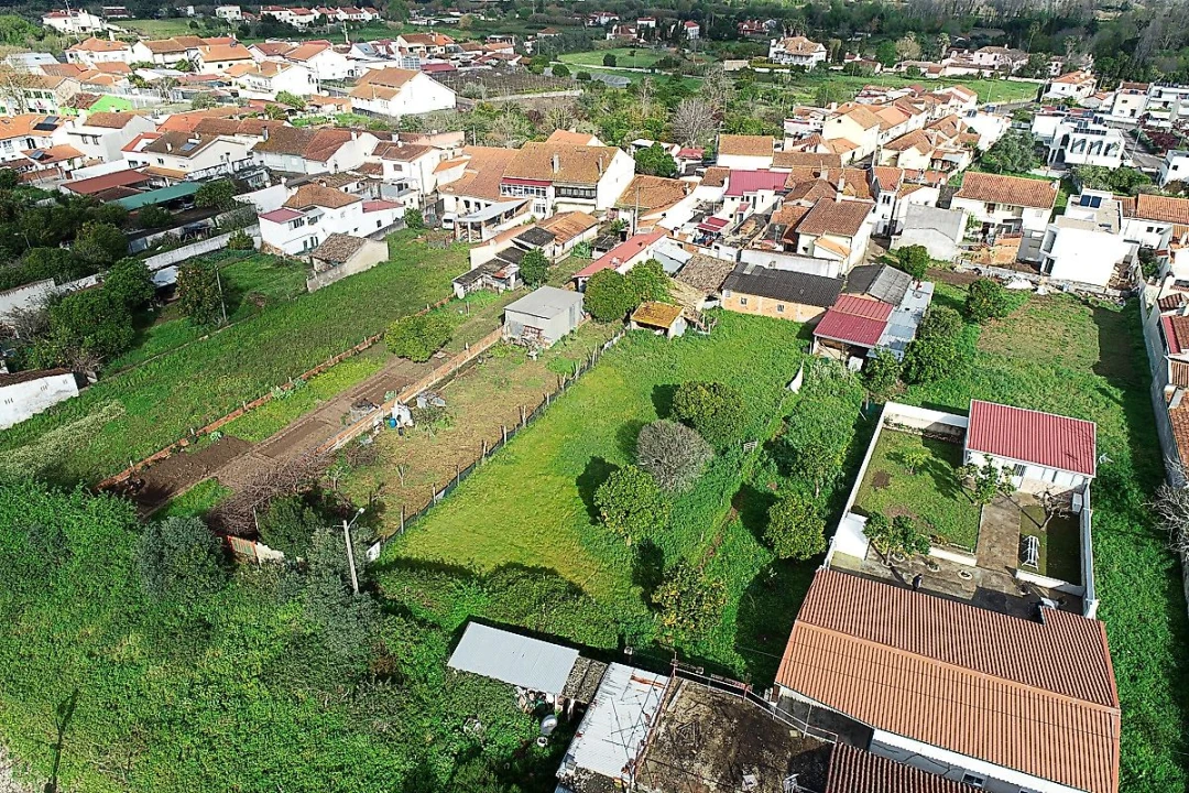 Terreno para Venda em São Martinho do Bispo e Ribeira de Frades Foto 7