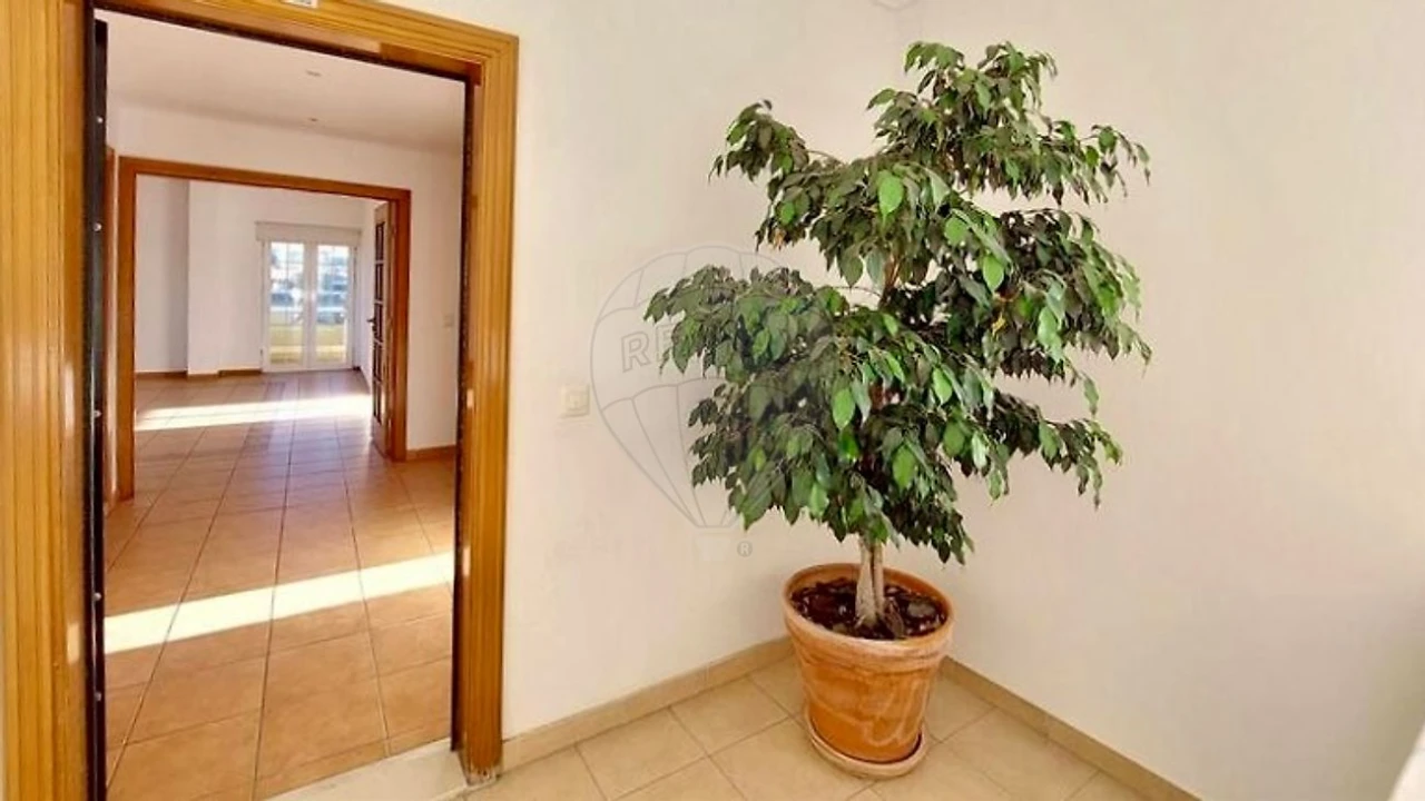 Apartamento T3 para Venda em Santa Maria e São Miguel, São Martinho, São Pedro Penaferrim Foto 3