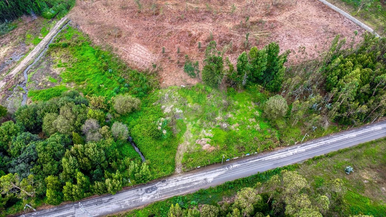 Terreno para Venda em Rio Meão Foto 13