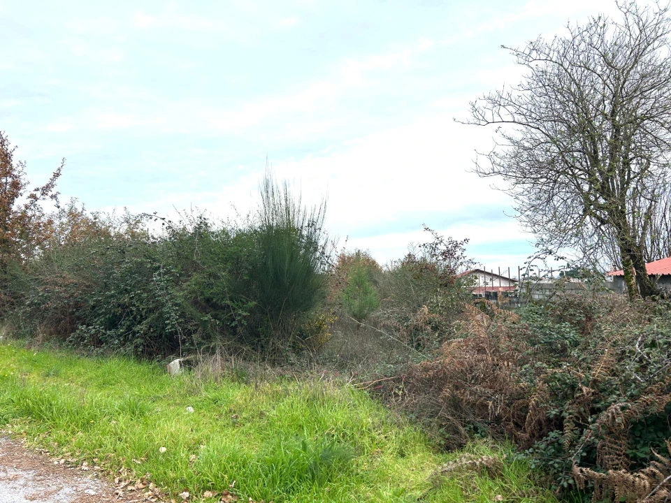 Terreno Agricola ou Rústico para Venda em Viseu Foto 10