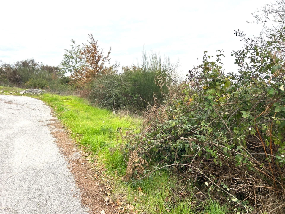 Terreno Agricola ou Rústico para Venda em Viseu Foto 6
