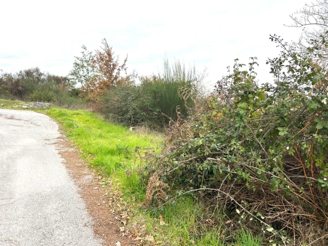 Terreno Agricola ou Rústico para Venda em Viseu Foto 6