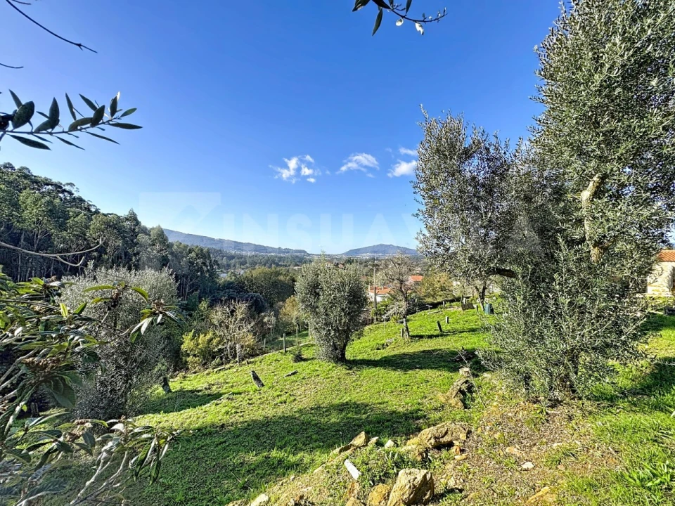 Moradia T8 para Venda em Argela Foto 9