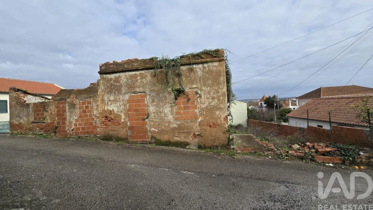 Terreno para Venda em Bombarral e Vale Covo Foto 11
