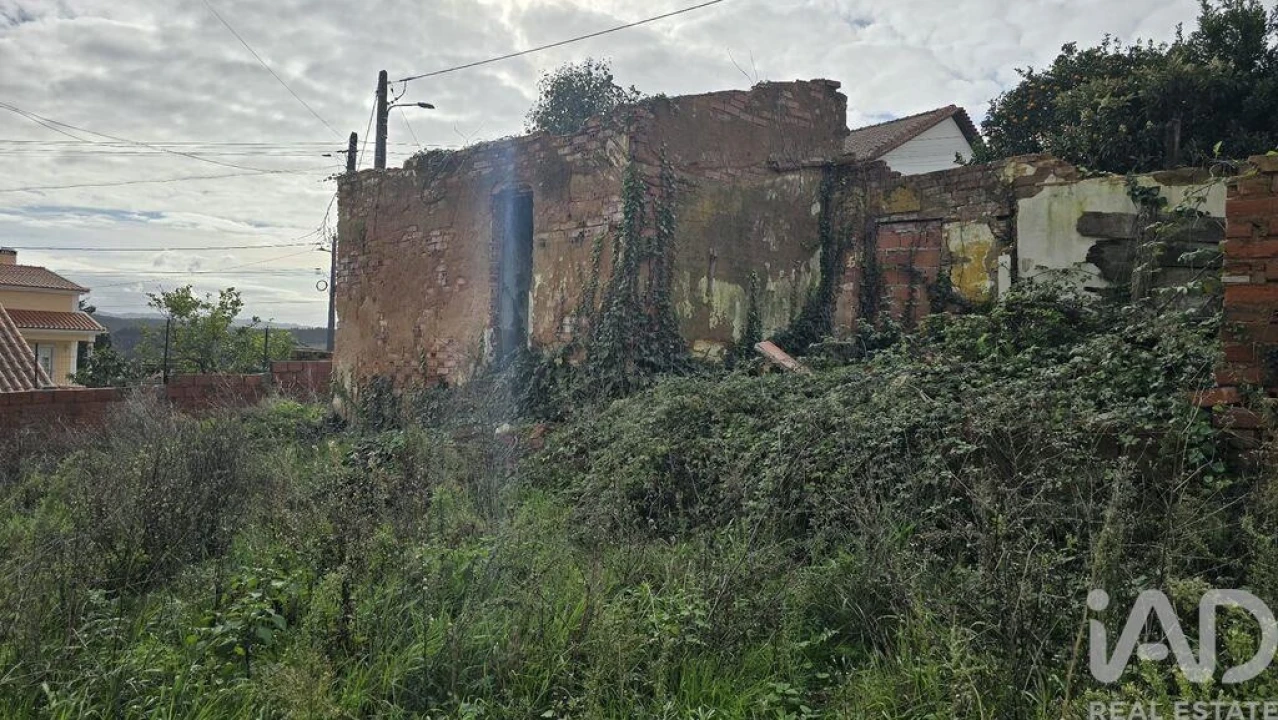 Terreno para Venda em Bombarral e Vale Covo Foto 6