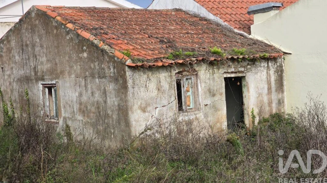 Terreno para Venda em Bombarral e Vale Covo Foto 13