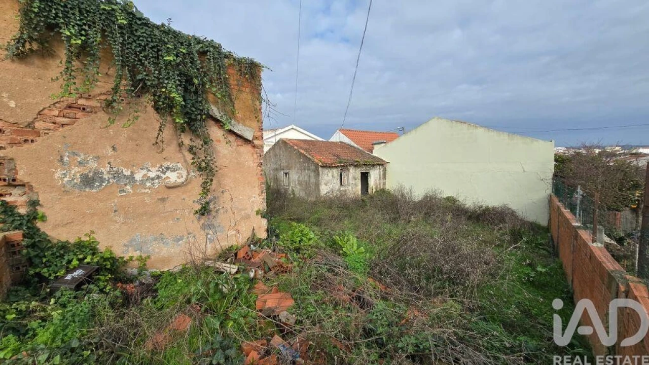Terreno para Venda em Bombarral e Vale Covo Foto 8
