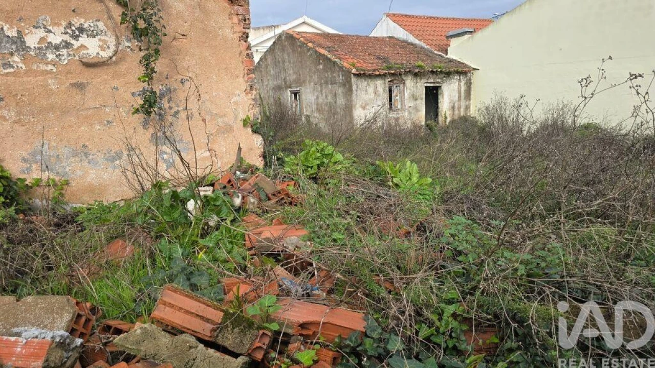 Terreno para Venda em Bombarral e Vale Covo Foto 10