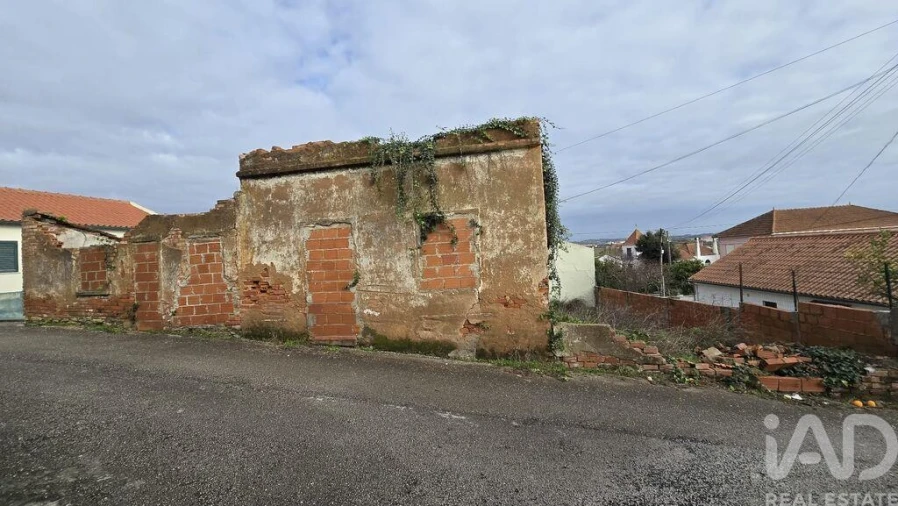 Terreno para Venda em Bombarral e Vale Covo Foto 11
