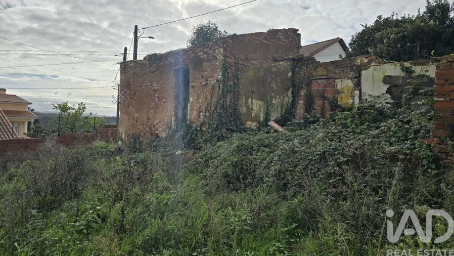 Terreno para Venda em Bombarral e Vale Covo Foto 6