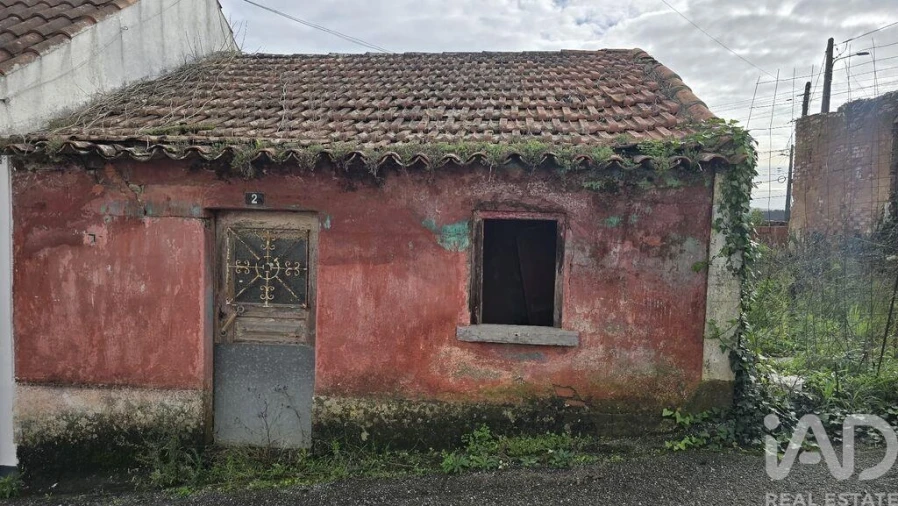 Terreno para Venda em Bombarral e Vale Covo Foto 5