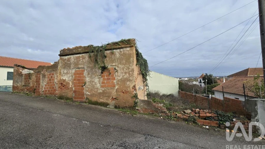 Terreno para Venda em Bombarral e Vale Covo Foto 12