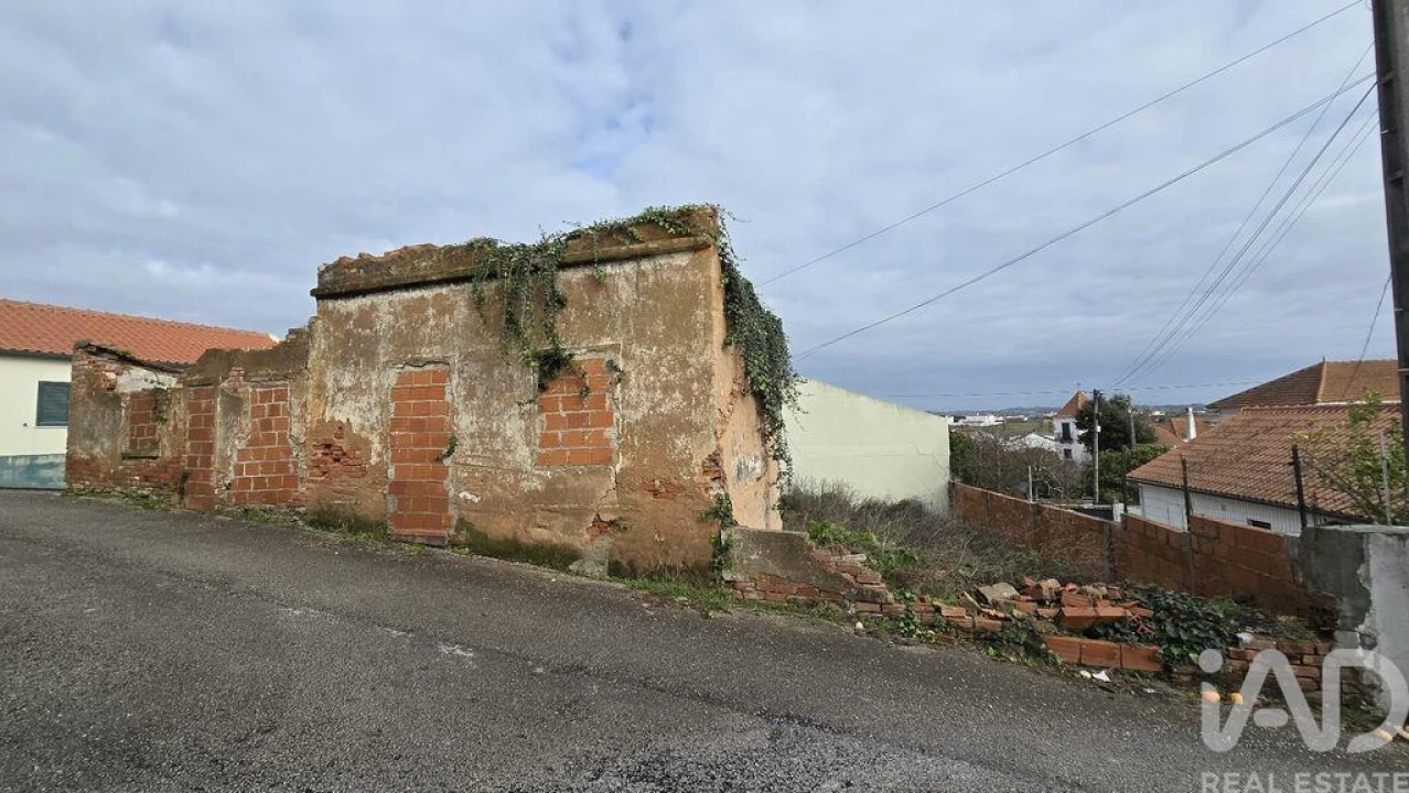 Terreno para Venda em Bombarral e Vale Covo Foto 12