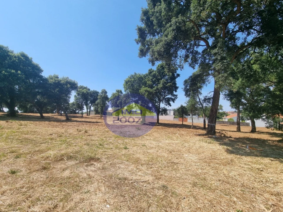 Terreno para Venda em Paços de Brandão Foto 10