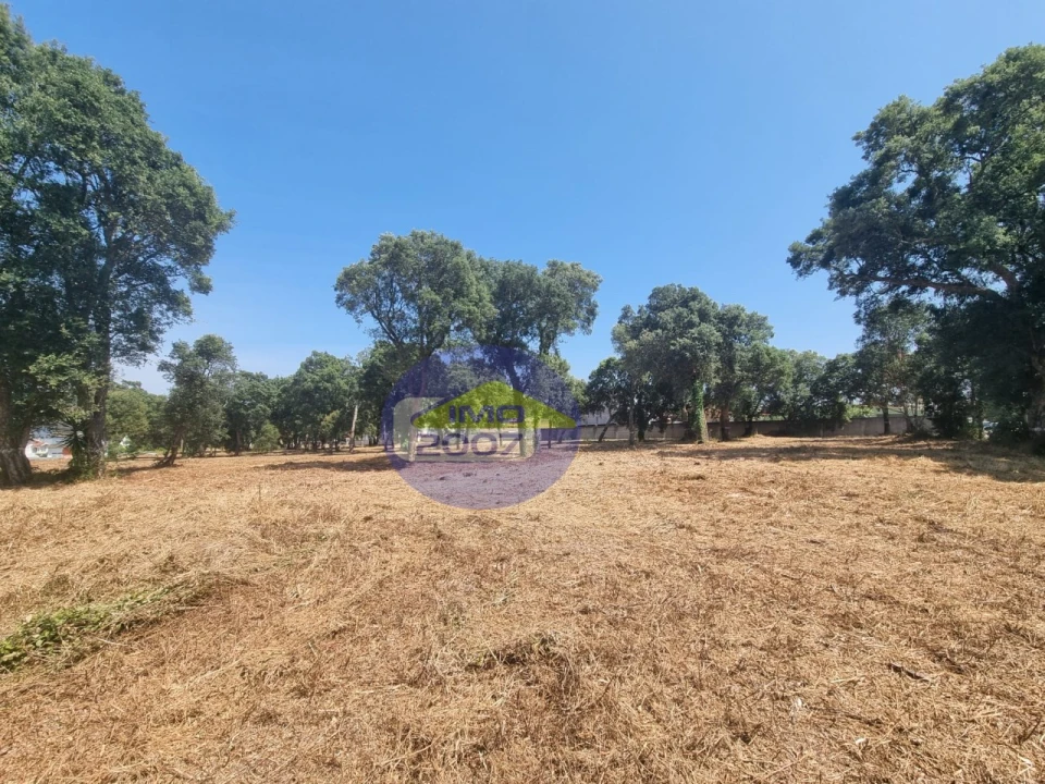 Terreno para Venda em Paços de Brandão Foto 23
