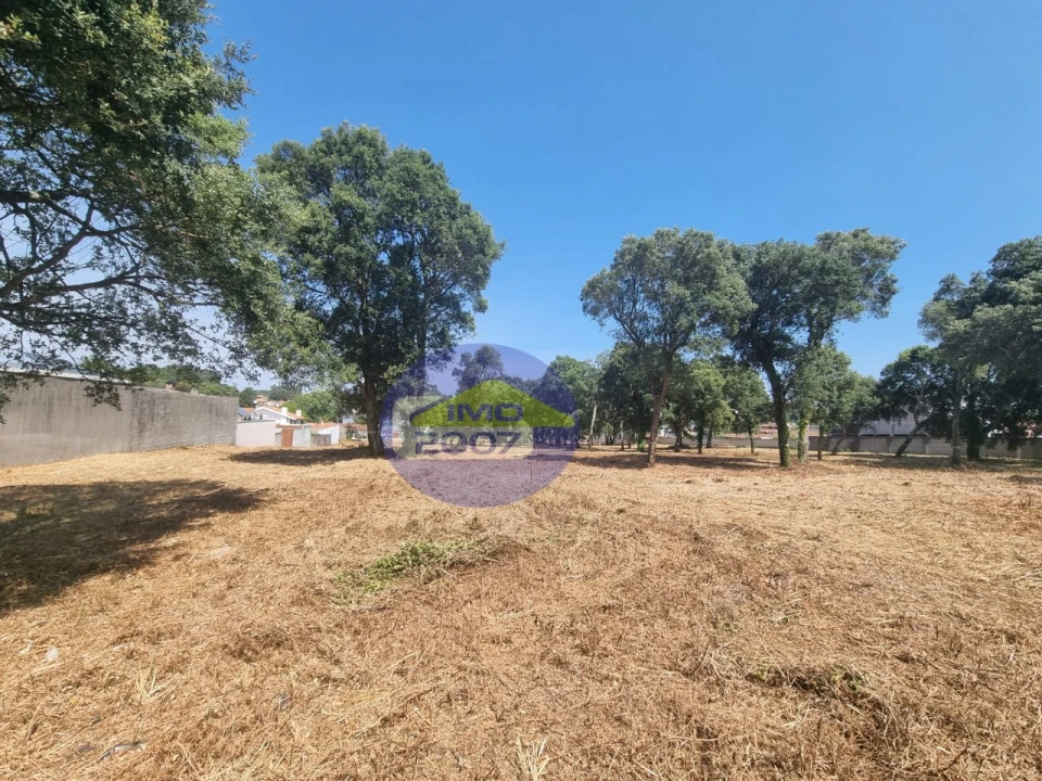 Terreno para Venda em Paços de Brandão Foto 24