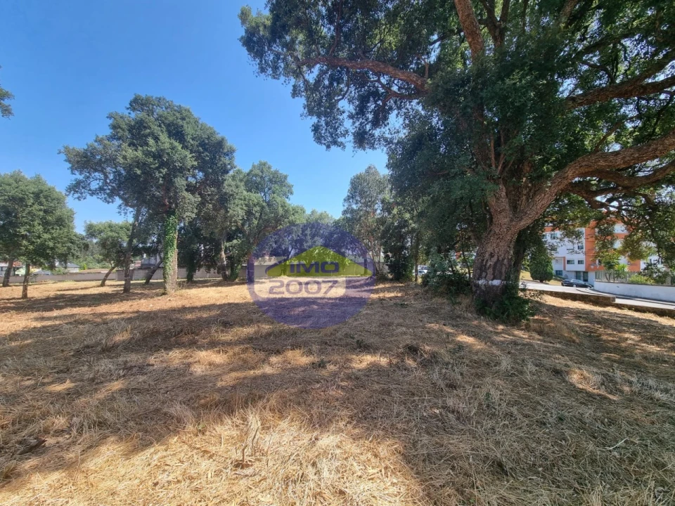 Terreno para Venda em Paços de Brandão Foto 26