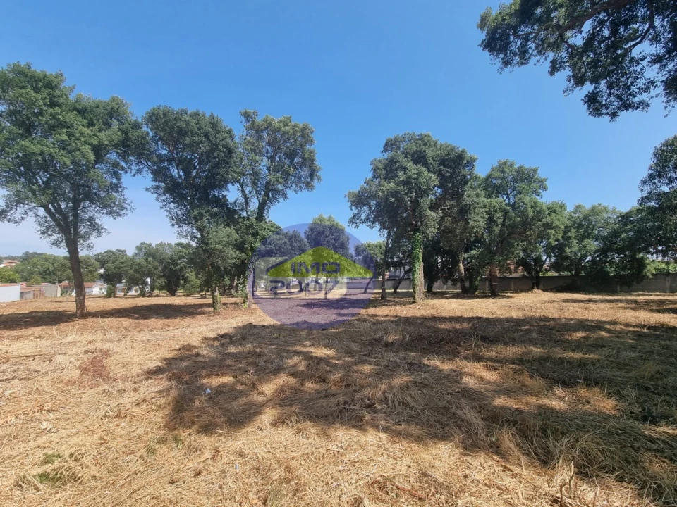Terreno para Venda em Paços de Brandão Foto 27