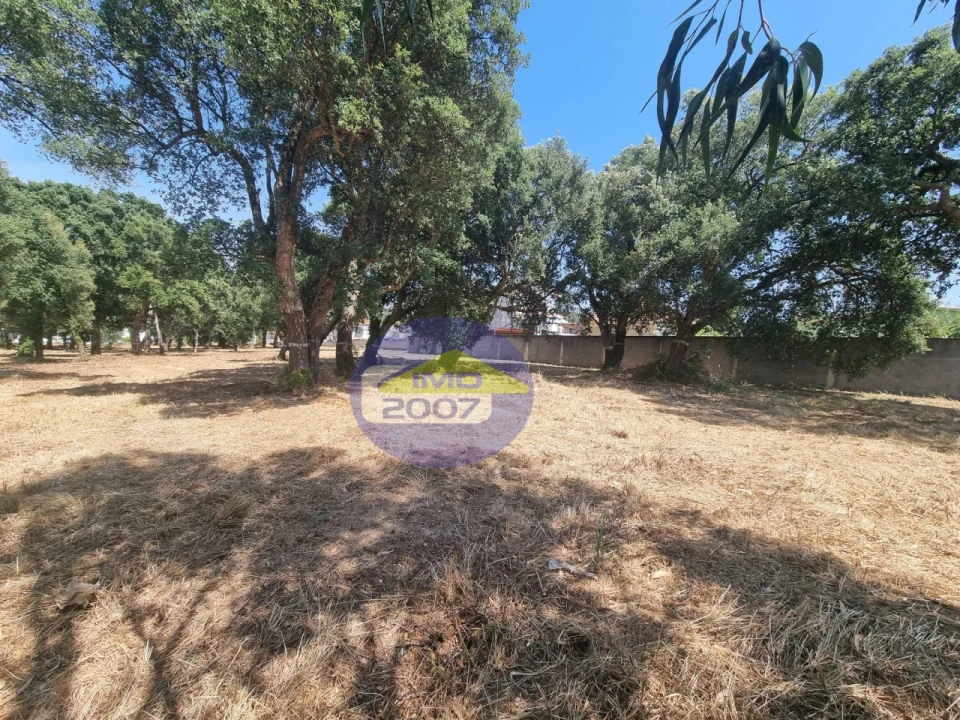 Terreno para Venda em Paços de Brandão Foto 34