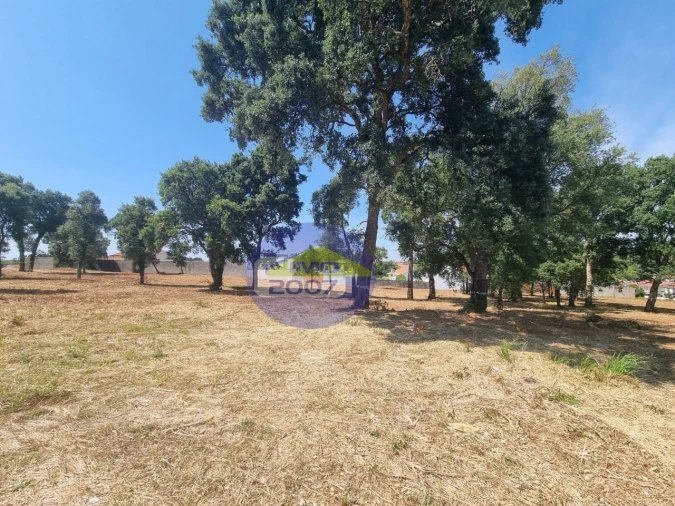 Terreno para Venda em Paços de Brandão Foto 11