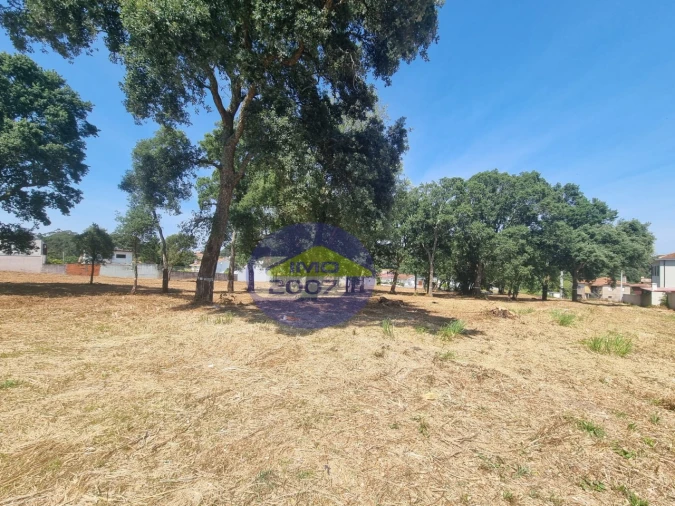 Terreno para Venda em Paços de Brandão Foto 13