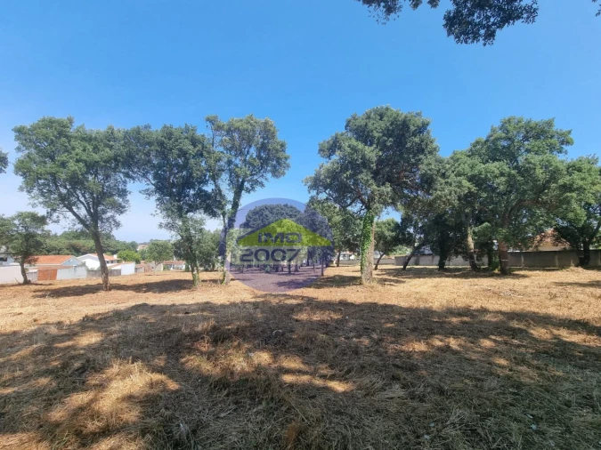 Terreno para Venda em Paços de Brandão Foto 29