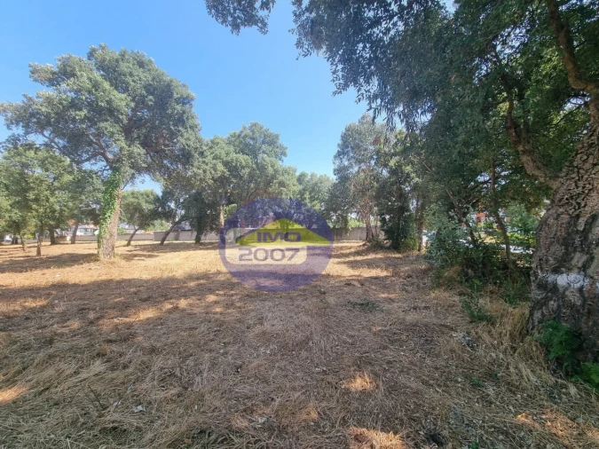 Terreno para Venda em Paços de Brandão Foto 30
