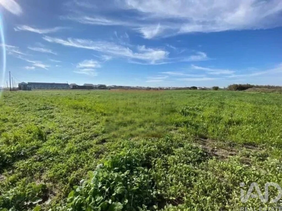 Terreno para Venda em Samouco Foto 10