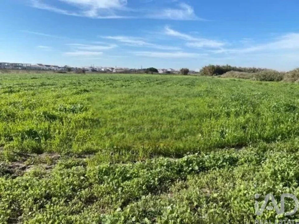 Terreno para Venda em Samouco Foto 14