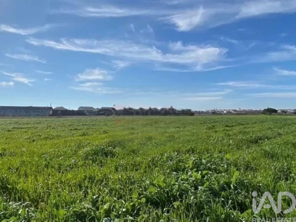 Terreno para Venda em Samouco Foto 9