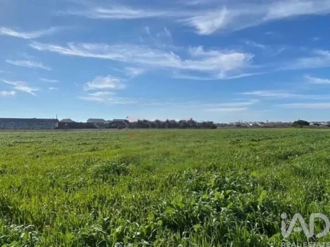 Terreno para Venda em Samouco Foto 9