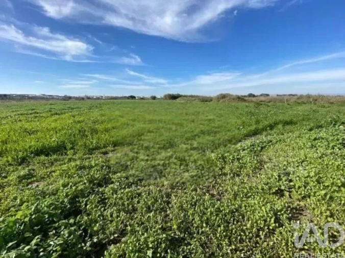 Terreno para Venda em Samouco Foto 11