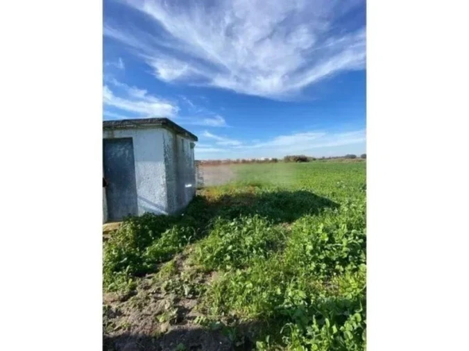 Terreno para Venda em Samouco Foto 12