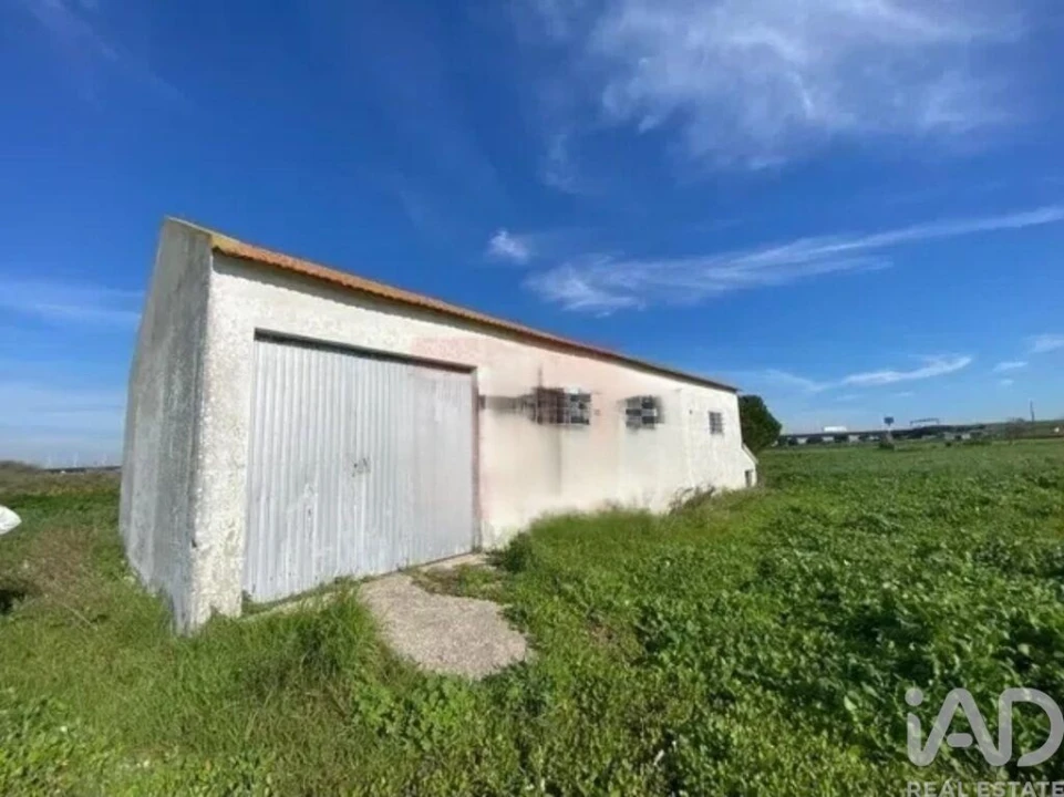 Terreno para Venda em Samouco Foto 2