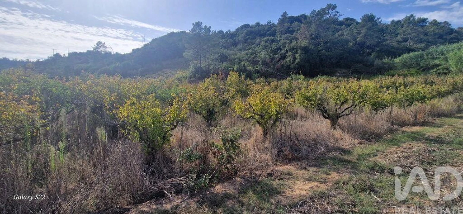 Terreno para Venda em Azueira e Sobral da Abelheira Foto 20