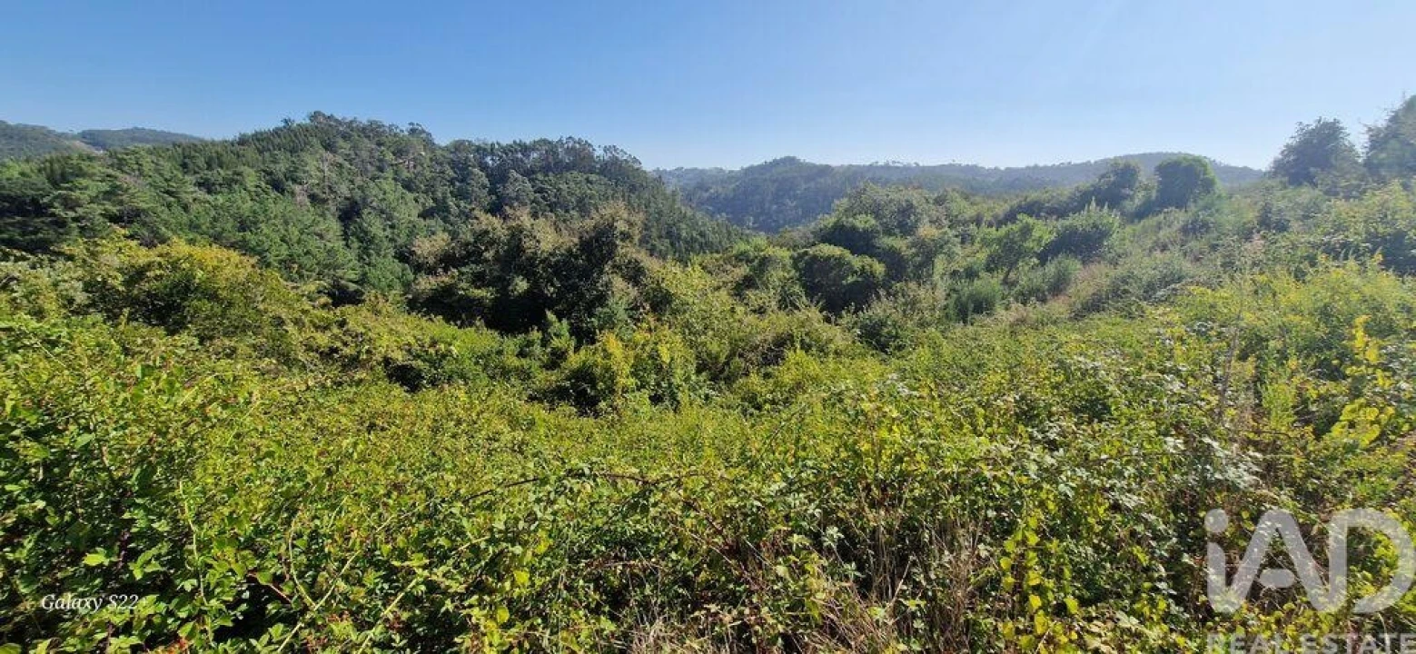 Terreno para Venda em Azueira e Sobral da Abelheira Foto 28